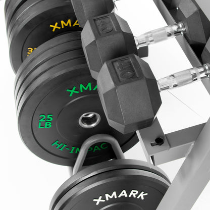 All-In-One Storage Solution, Dumbbells, Weight Plates and Barbells
